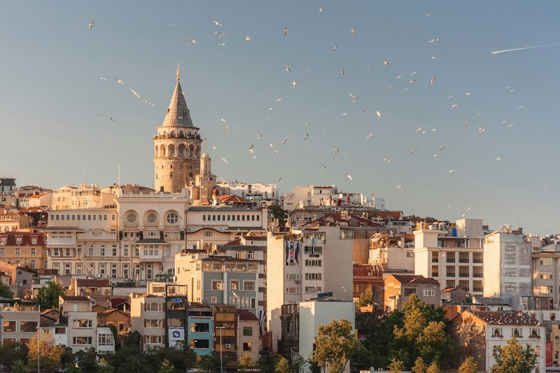 Curated Travel Destinations